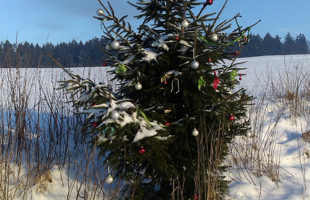 Christbaumversteigerung TuS Neuhofen