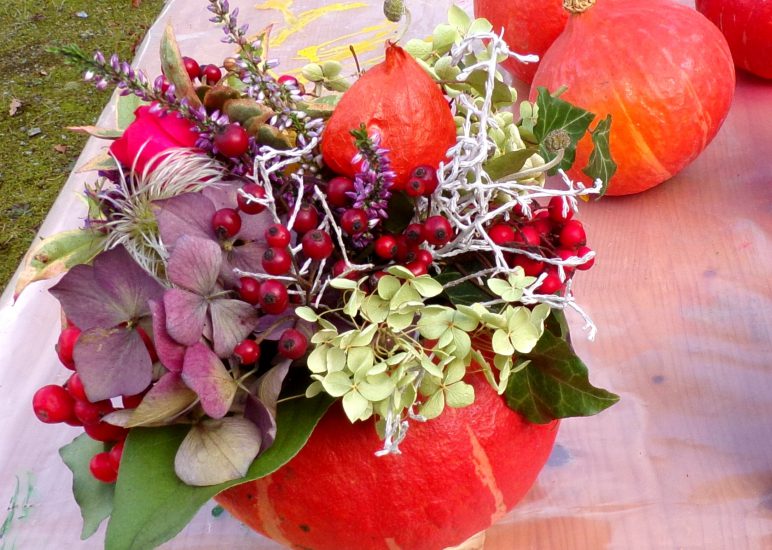 Wir begrüßen den Herbst Seniorenclub Postmünster