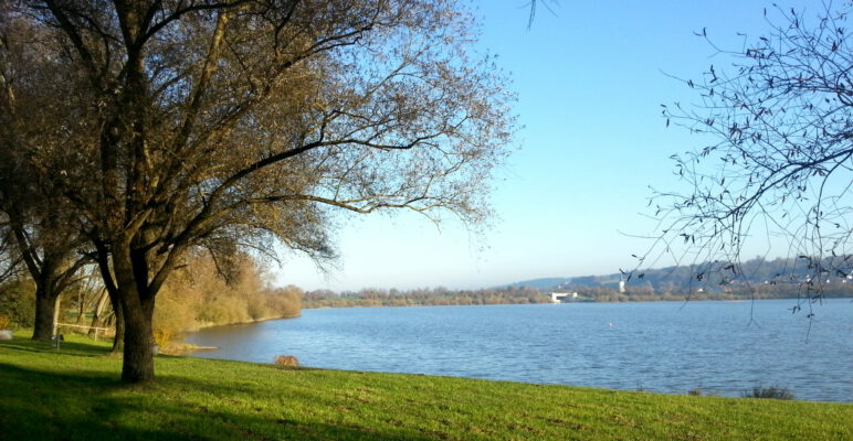 Badewarnung Rottauensee
