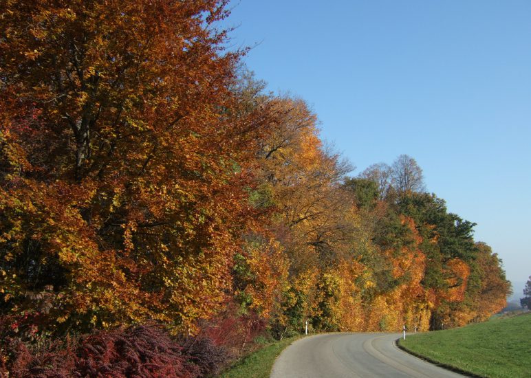 Seniorenrundfahrt