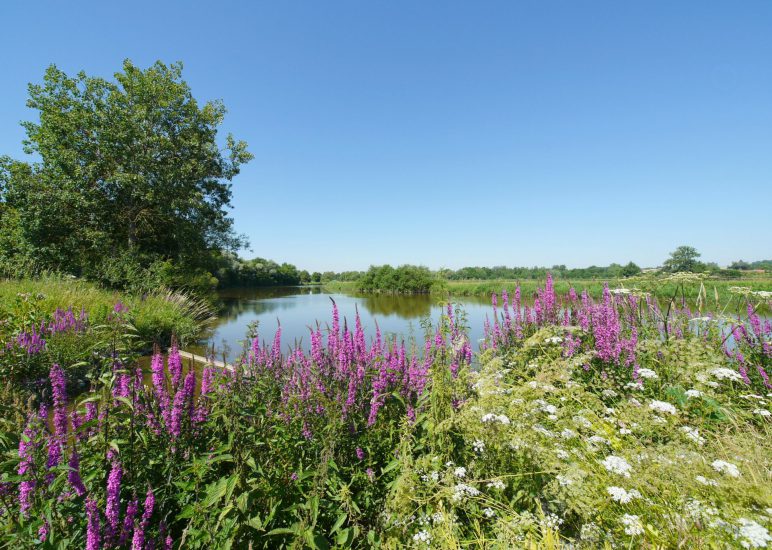 Kräuterbuschen binden Gartenbauverein Marienkäfer