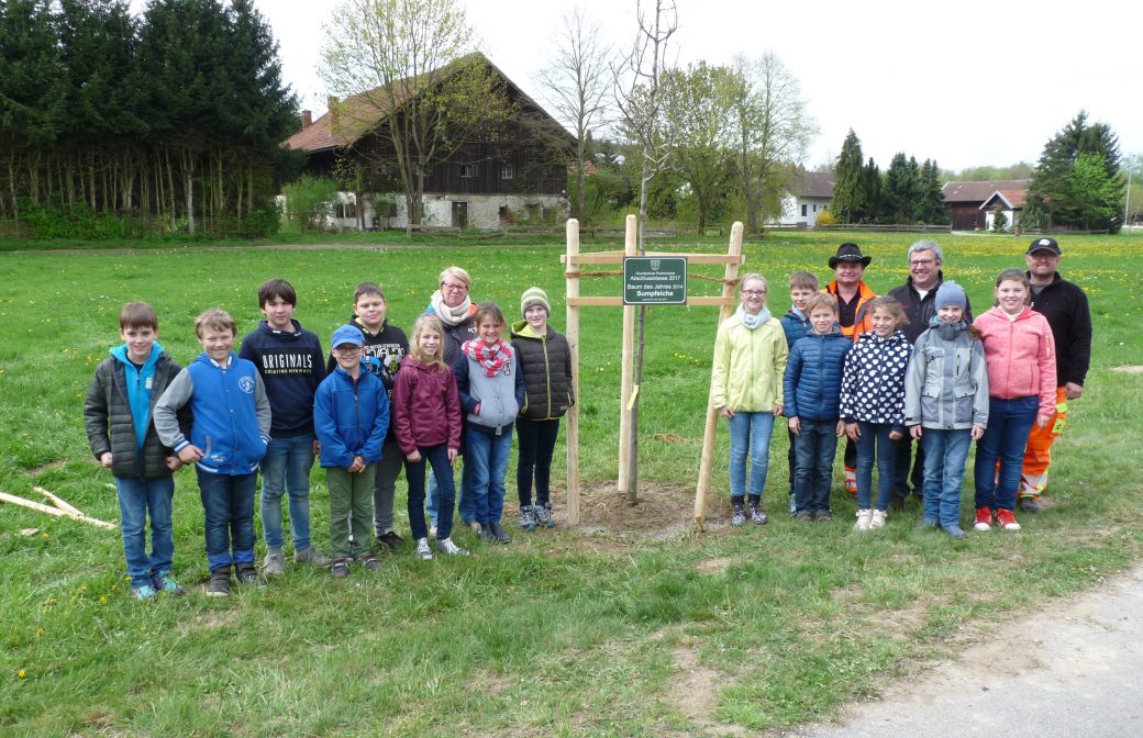 Ein neuer Baum für die Generationenallee