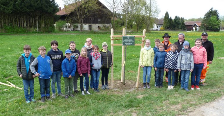 Ein neuer Baum für die Generationenallee