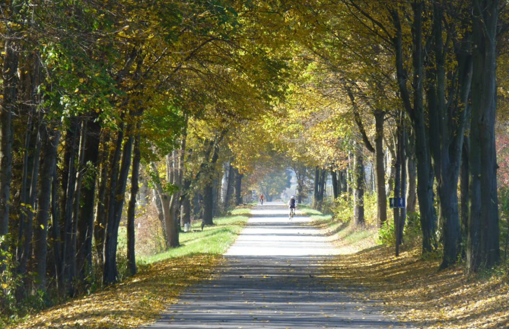 Wandertag TuS Neuhofen