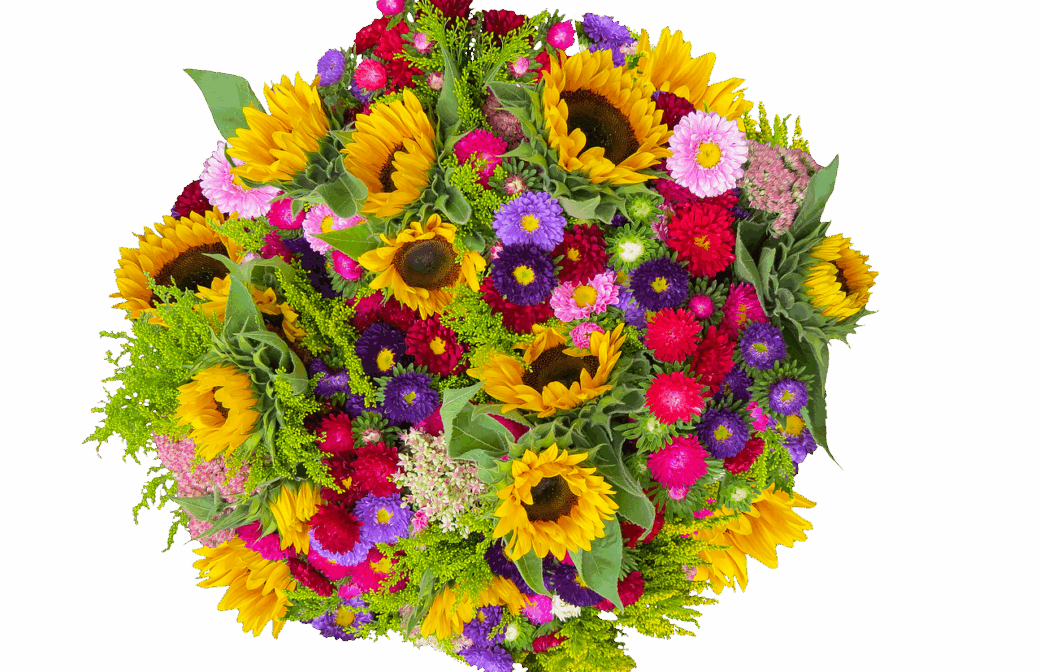 Muttertagsüberraschung Gartenbauverein Marienkäfer