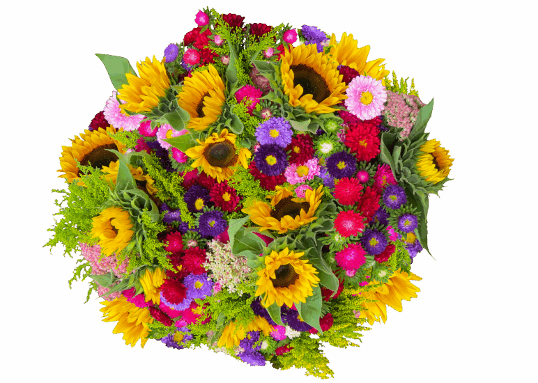 Muttertagsüberraschung Gartenbauverein Marienkäfer