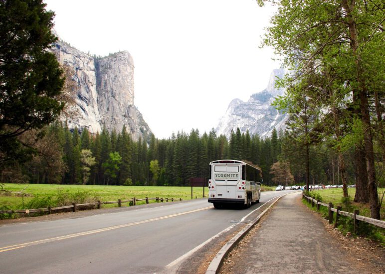 Tagesausflug Gartenbauverein Marienkäfer